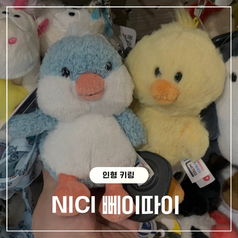 [대만] 니키 인형 뻬이따이 성품서점 구매 후기