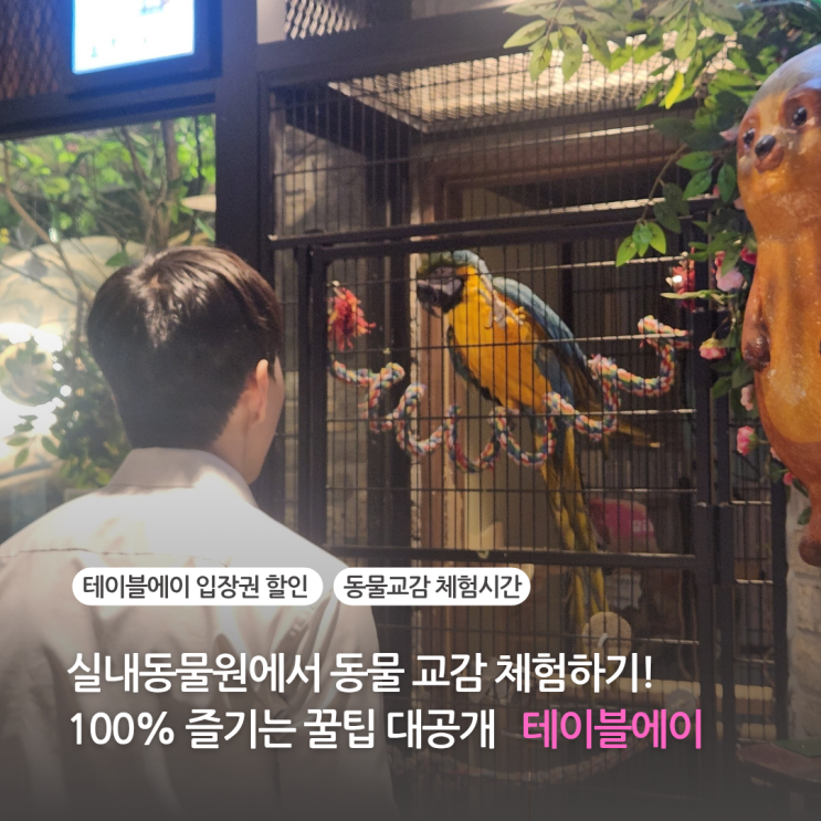  실내동물원 테이블에이 송도 놀거리 100% 즐기는 꿀팁 총정리 트리플스트리트 데이트 (할인 주차장 체험시간)