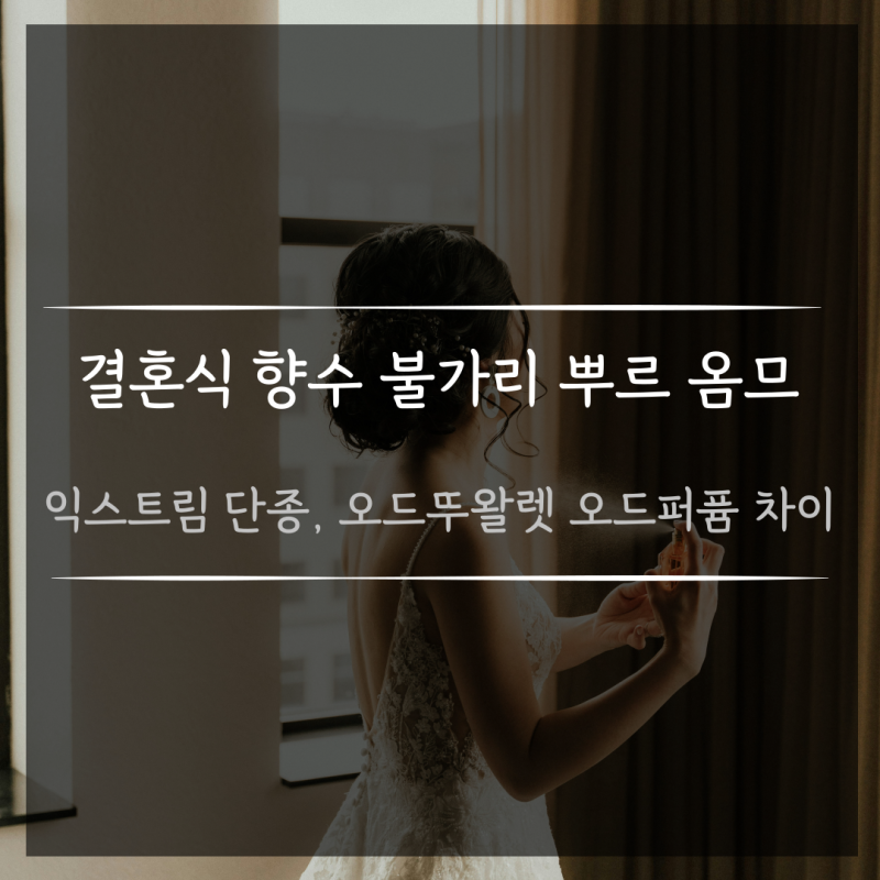 결혼식 향수 불가리 뿌르 옴므 익스트림 단종 대체 향수 오드뚜왈렛 오드퍼퓸 향 차이