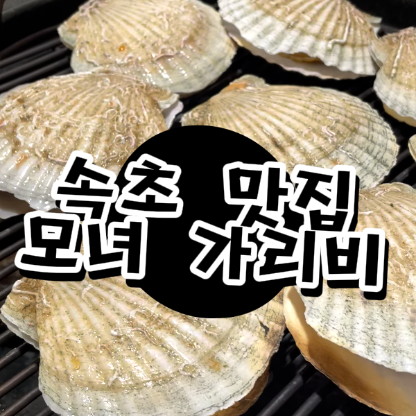  속초 모녀가리비 오징어순대 솔직후기, 가기 전에 꼭 보고 가세요!