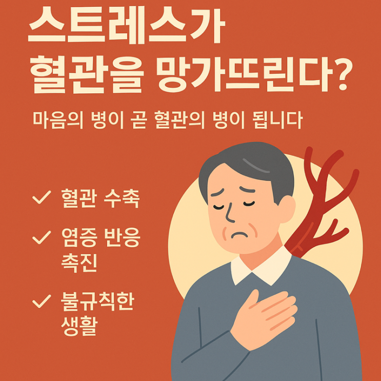  스트레스가 혈관을 망가뜨린다?