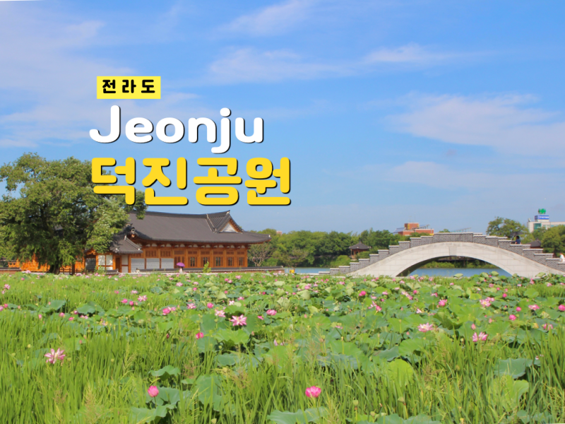 사진 9