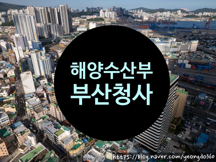  해양수산부 부산 이전 확정! 드론으로 먼저 만나본 IM빌딩과 협성타워 위치