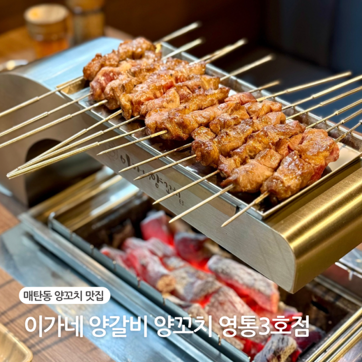  수원 매탄동맛집 이가네 양갈비 양꼬치 영통3호점
