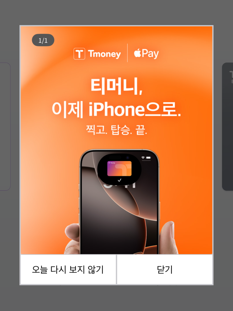  애플페이 티머니 교통카드 등록 및 사용방법