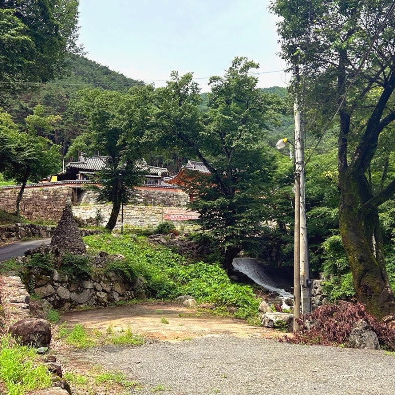 사진 7