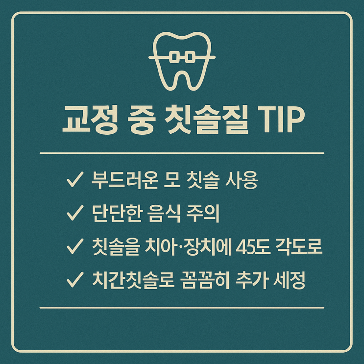   치아교정 중 ‘칫솔질’ 어떻게 해야 할까요?— 교정 중 구강관리 팁