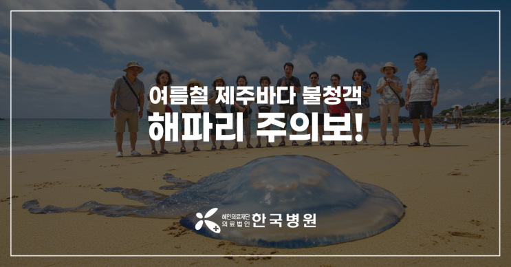  제주 응급실_제주바다 여름 물놀이할 때 '해파리 쏘임 주의!'