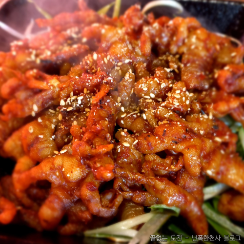 제주 닭발 맛집 스치니 식당 추천 민생회복 소비쿠폰 사용처