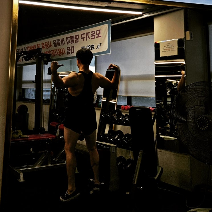 250721 하체 이두 운동루틴 체형분석