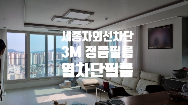  세종 상가 썬팅, 왜 지금 필수일까? 눈부심방지,햇빛차단 효과