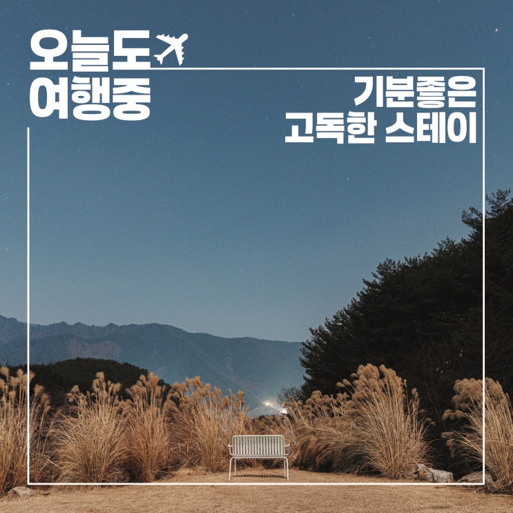  2025 상반기 기분좋은 고독한 스테이 BEST3