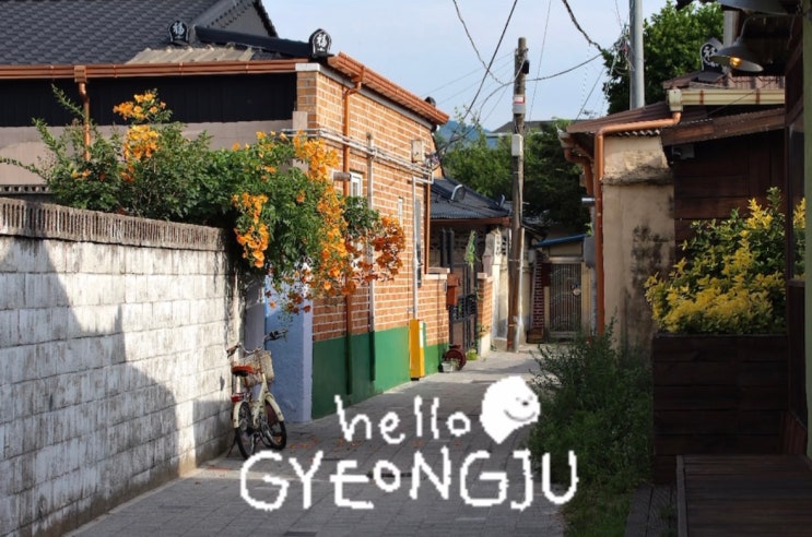  [여행] 1박 2일 경주여행 Day2 ( 경주 핫플, 숨은 명소, 무료 주차장, 맛집, 카페, 여름 가볼만한 곳 )