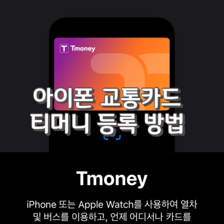  아이폰 애플워치 티머니 교통카드 등록 실제 후기 feat.등록 방법 2가지 소개