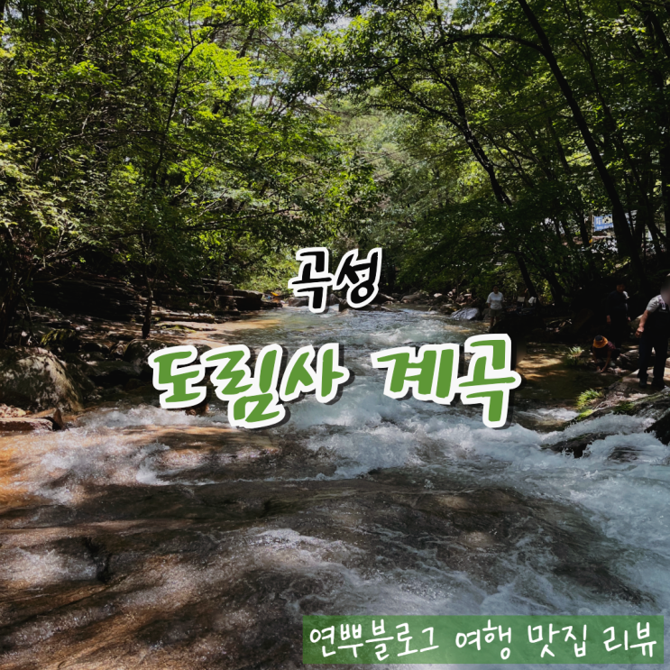  광주 근교 계곡 도림사 계곡 꿀자리 취사 곡성계곡 추천