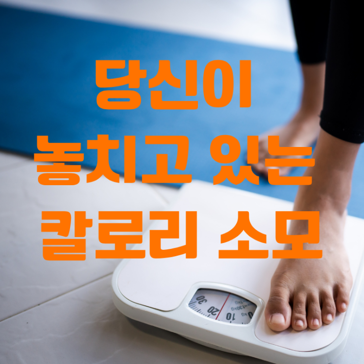  직장인 필수. 비운동성활동열생성(NEAT)으로 일상 속 칼로리 소모 극대화!