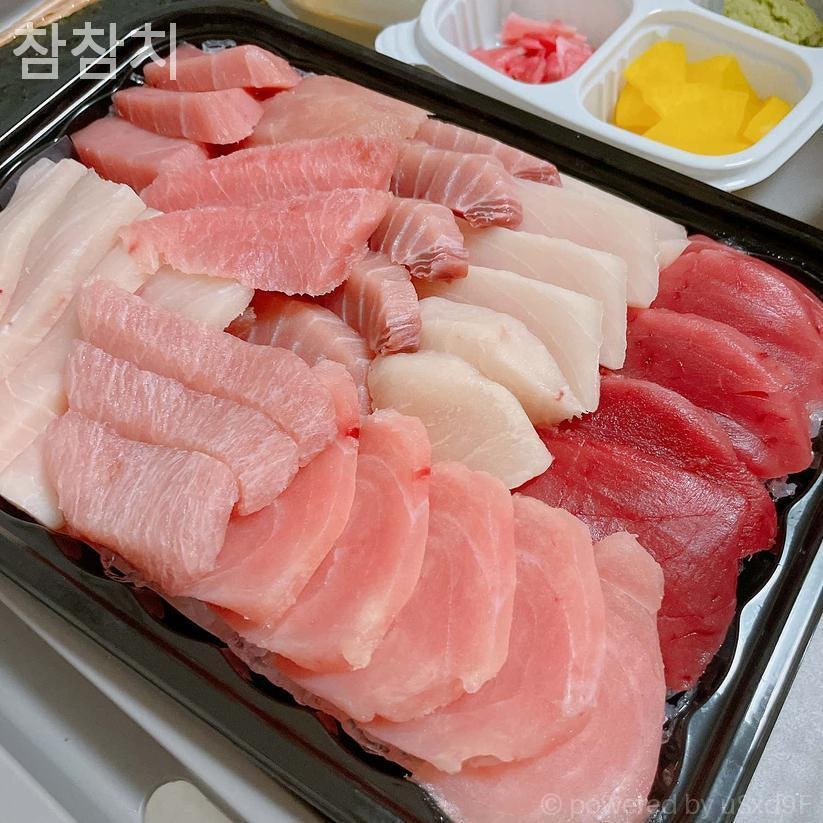 참참치 사진 2