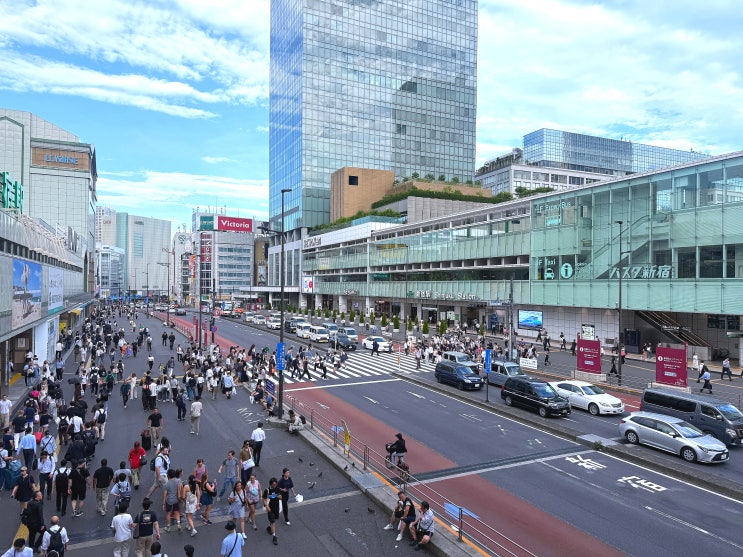  2025년 7~8월 일본 도쿄 날씨 체감 후기 생존 꿀팁