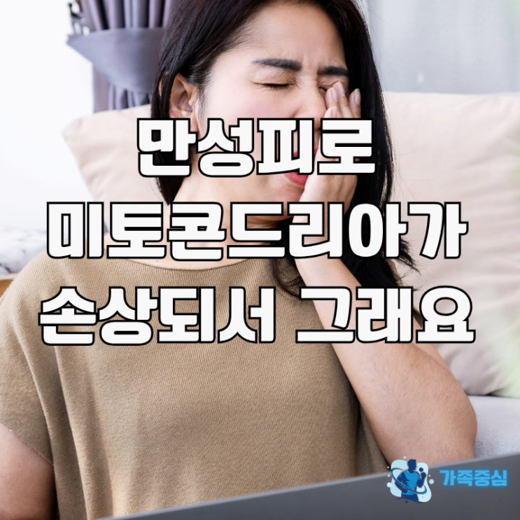  미토콘드리아 강화로 만성피로 탈출! ATP 에너지 , 기능,역할 까지.