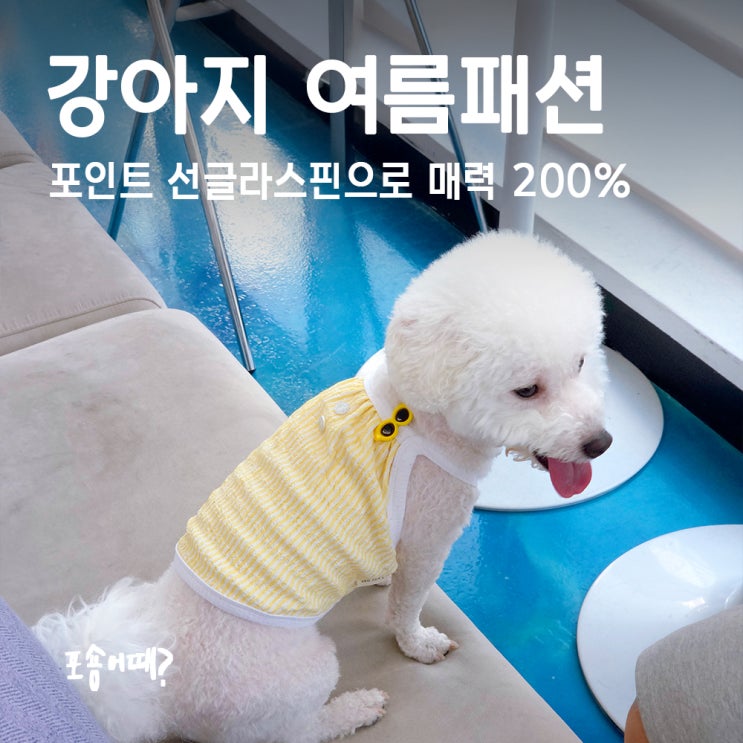  강아지여름나시 예쁘고 시원한 클로젯독 스트라이프