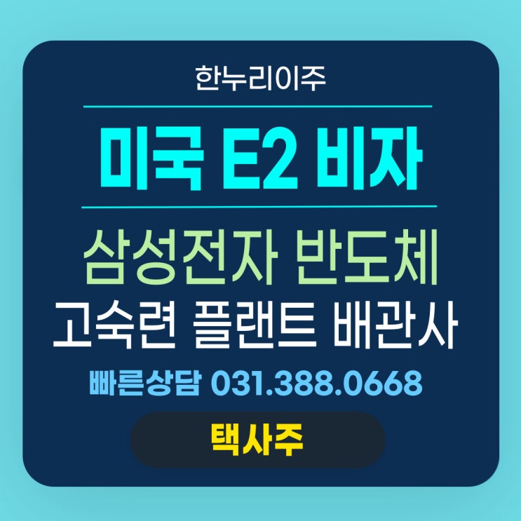 미국 텍사스 삼성전자 반도체 플랜트 배관사 미국 E2 비자 발급