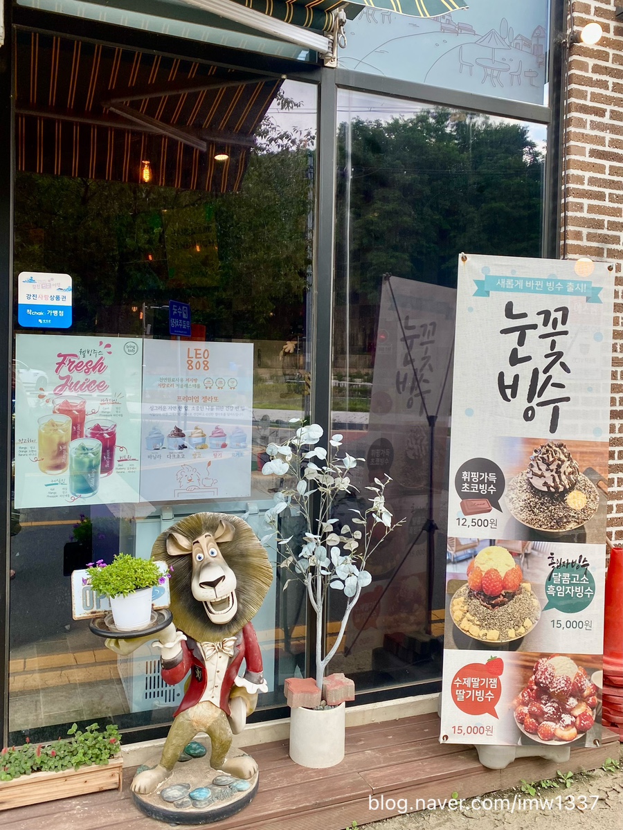 레오808 사진 3
