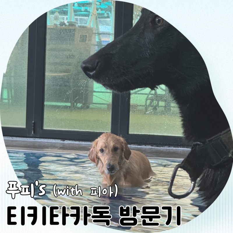 사진 6