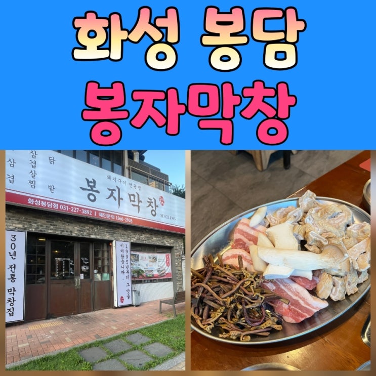  봉담막창 맛집 봉자막창 화성봉담점! 윤두준·히밥도 극찬한 그곳