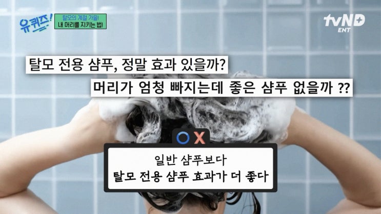  탈모 속설, 무엇이 진짜일까? 유퀴즈