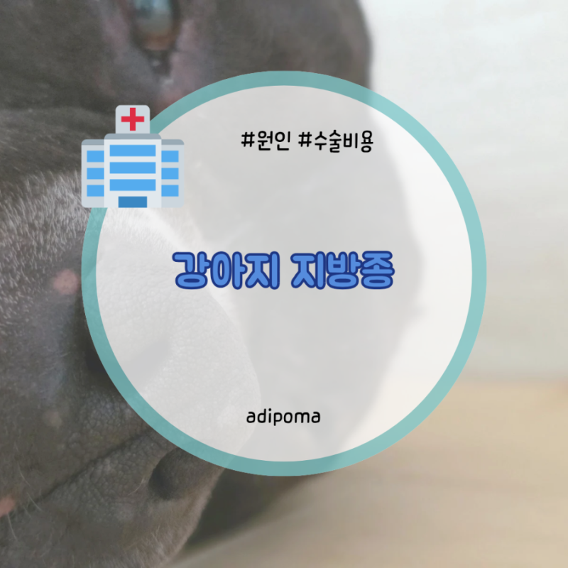 강아지 지방종 원인 제거 터짐 수술 비용 커짐 악성