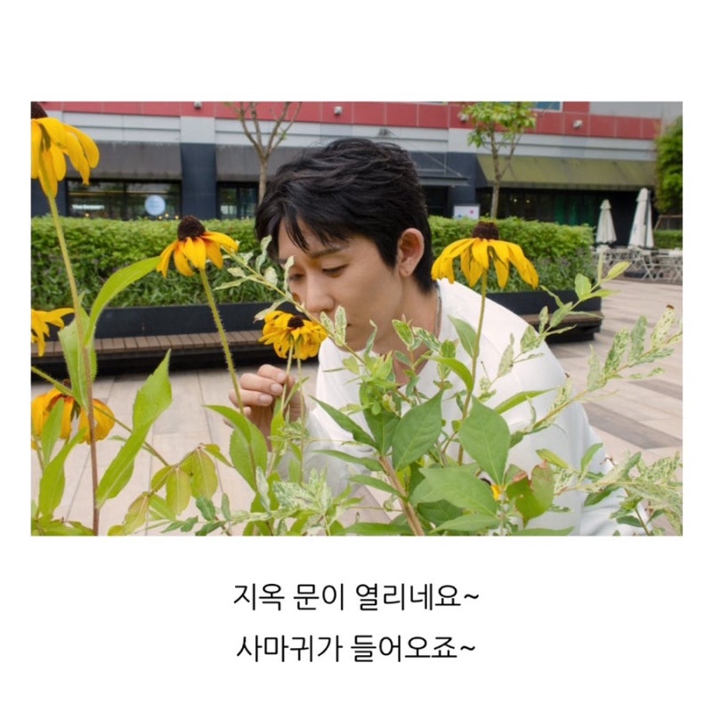 넉살 블로그 틈바구 주소(넉살 블로그 시작했대요 엄청 웃겨)