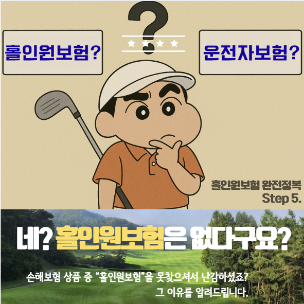 "장기 홀인원 보험?" 아무리 찾아도 없는 이유