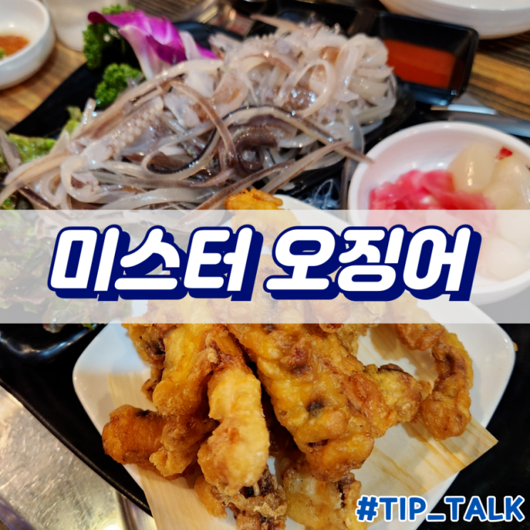  수원역 오징어회 맛집 미스터오징어 수원역점