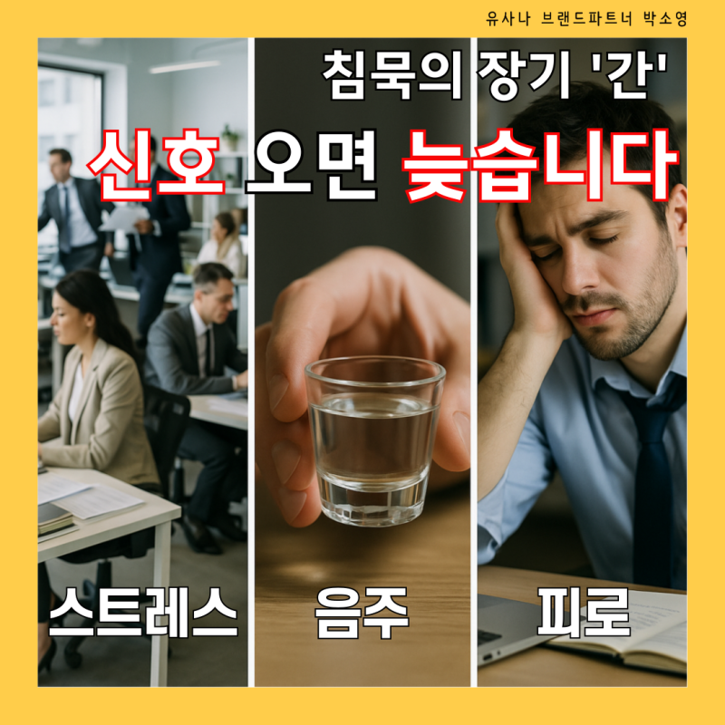 간 해독·에너지 대사까지 챙기는 유사나 간 솔루션(유사나 헤파실 플러스)