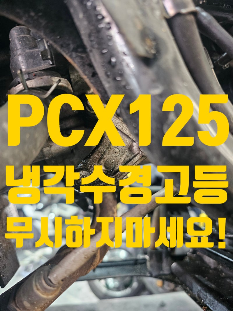 PCX125 냉각수 경고등 절때 무시하면 안되는 경고등!! PCX 엔진수리 및 워터펌프 교환 김포바이....