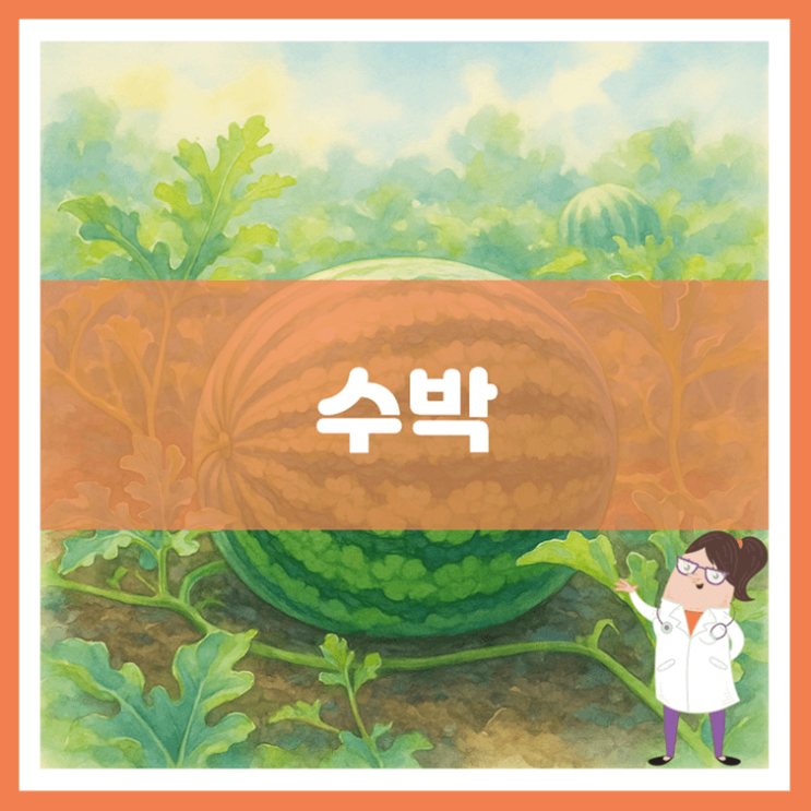  수박 효능 부작용 고르는 방법