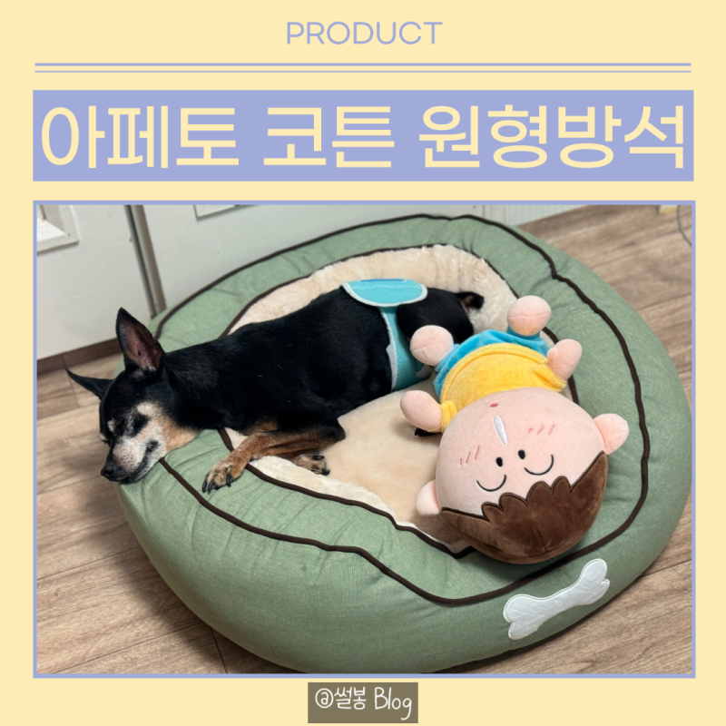 강아지방석 추천 아페토 도넛 코튼쿠션 후기