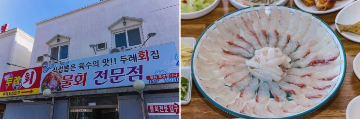  [맛집리뷰] 두레회식당 울진, 최고의 죽변항 횟집 물회!