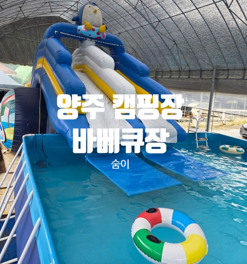 사진 2
