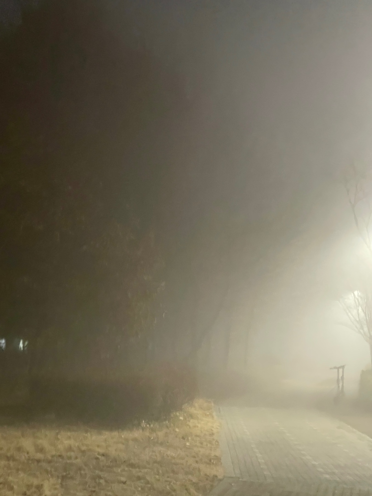  삼손은 헬스를 하지 않았다 사사기 15장 14절