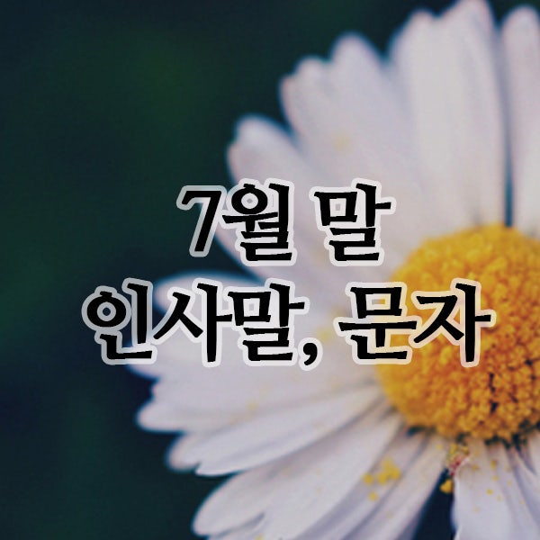  7월 말 인사말, 아침인사 문자