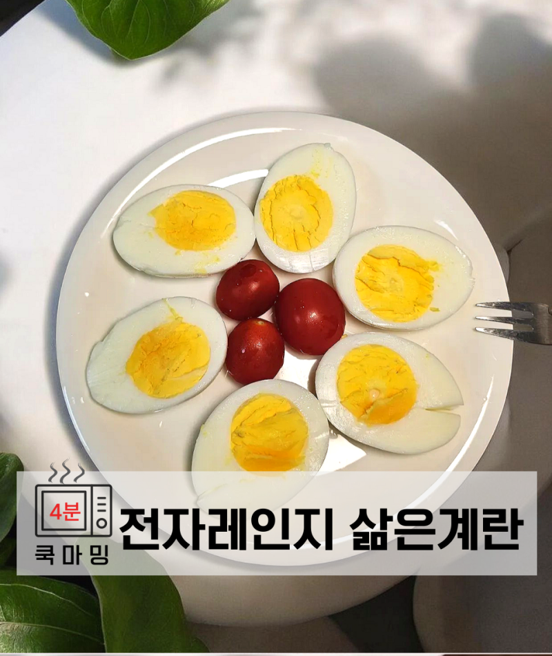 전자레인지 삶은계란 계란찜기 시간 달걀 완숙 4분 요리