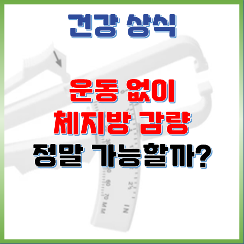  운동 없이도 체지방 감량, 정말 가능할까?