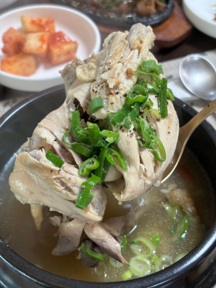 포항삼계탕 북구 환호공원 맛집 한동한정식
