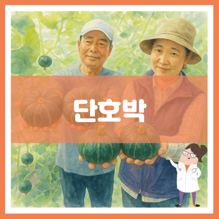  단호박 효능 영양성분 부작용