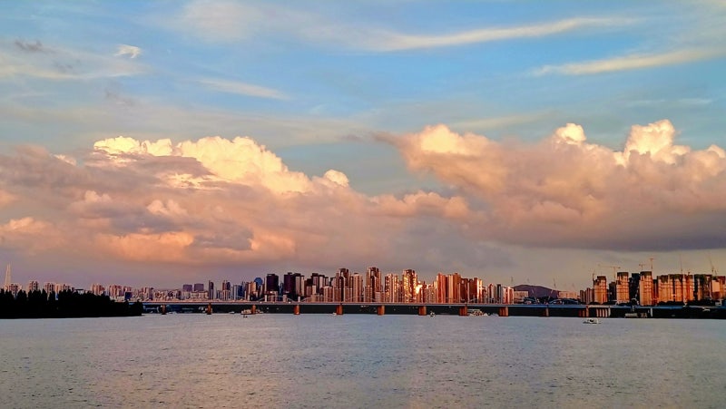 사진 5