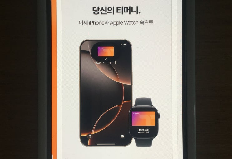  한국 아이폰 애플페이 티머니 교통카드 사용법