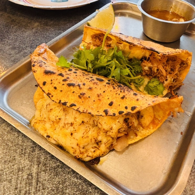  압구정타코 더타코부스 압구정본점 줄 서는 타코 맛집 + 비리아 타코 뜻, 주차 정보 압구정로데오맛집