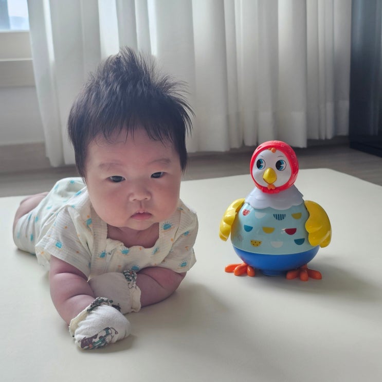  아기 터미타임 시기, 장난감 추천 '블루래빗 꼬꼬맘' 사용법, 솔직 후기