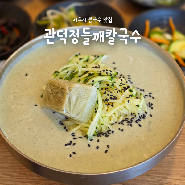  제주시칼국수 콩국수맛집, 꾸덕한 100% 콩국물 관덕정들깨칼국수